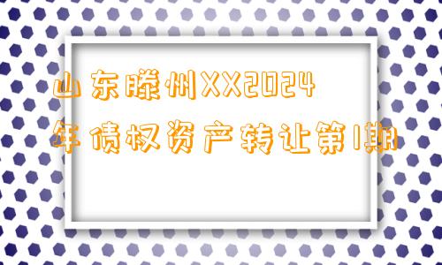 山东滕州XX2024年债权资产转让第1期