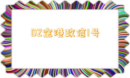 DZ空港政信1号