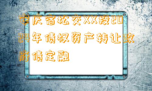 安庆宿松交XX投2024年债权资产转让政府债定融