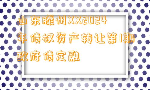 山东滕州XX2024年债权资产转让第1期政府债定融