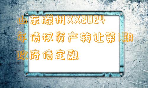 山东滕州XX2024年债权资产转让第1期政府债定融