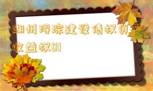 湖州浔淙建设债权资产收益权01