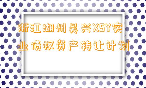 浙江湖州吴兴XSY实业债权资产转让计划