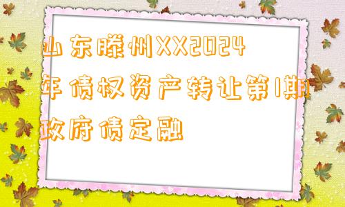 山东滕州XX2024年债权资产转让第1期政府债定融