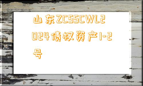 山东ZCSSCWL2024债权资产1-2号