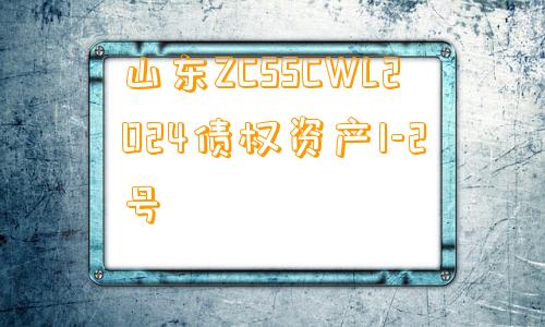 山东ZCSSCWL2024债权资产1-2号