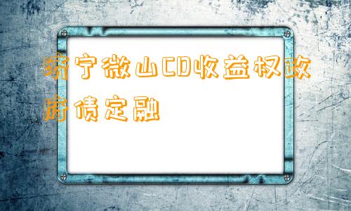 济宁微山CD收益权政府债定融