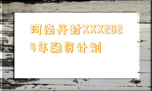 河南开封XXX2024年融资计划