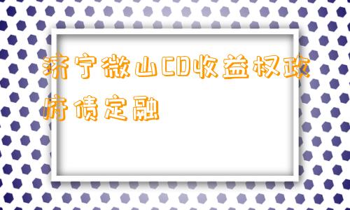 济宁微山CD收益权政府债定融