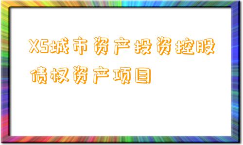 XS城市资产投资控股债权资产项目