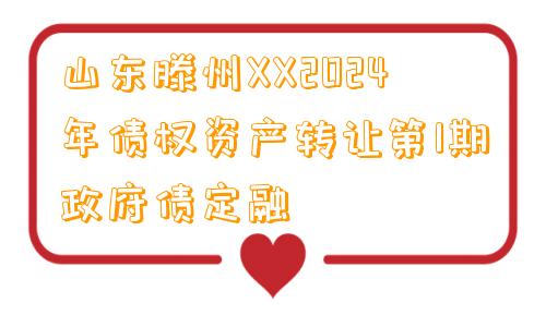 山东滕州XX2024年债权资产转让第1期政府债定融