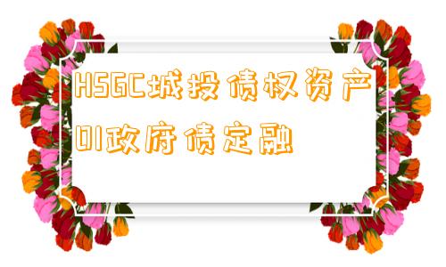 HSGC城投债权资产01政府债定融