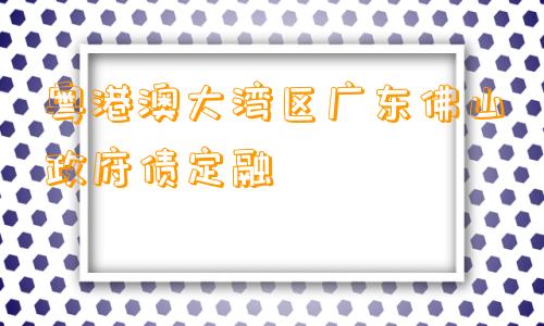 粤港澳大湾区广东佛山政府债定融