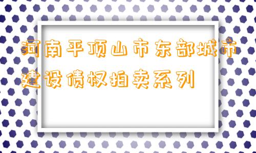 河南平顶山市东部城市建设债权拍卖系列