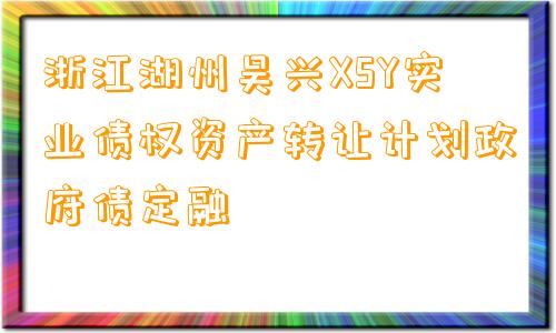 浙江湖州吴兴XSY实业债权资产转让计划政府债定融