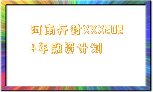 河南开封XXX2024年融资计划