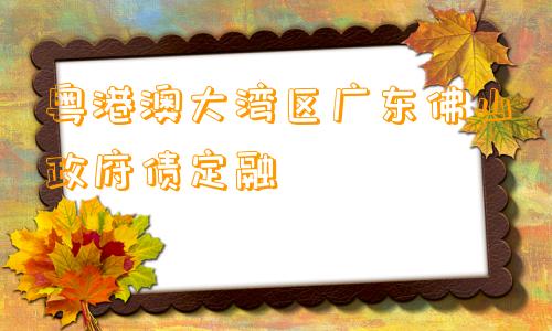 粤港澳大湾区广东佛山政府债定融