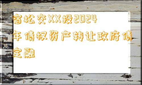 宿松交XX投2024年债权资产转让政府债定融