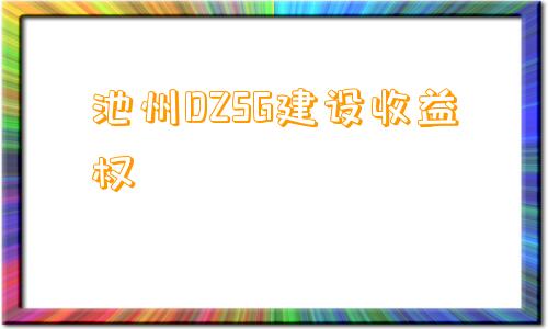 池州DZSG建设收益权