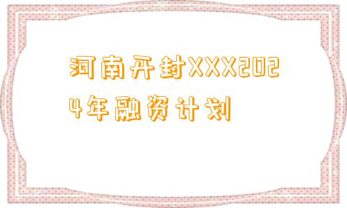 河南开封XXX2024年融资计划