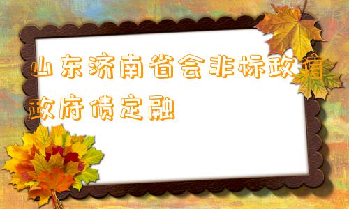 山东济南省会非标政信政府债定融