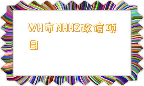 WH市NHHZ政信项目