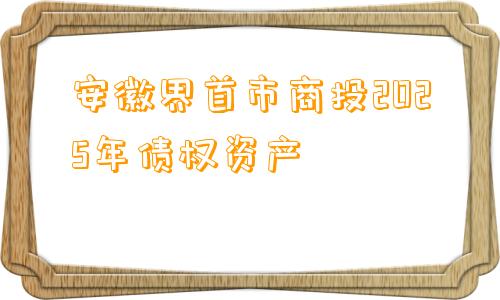 安徽界首市商投2025年债权资产