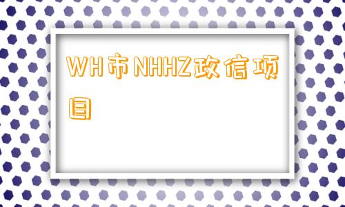 WH市NHHZ政信项目