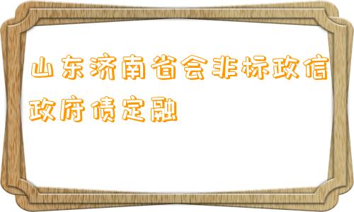 山东济南省会非标政信政府债定融