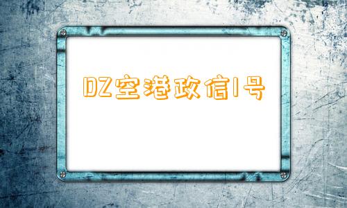 DZ空港政信1号