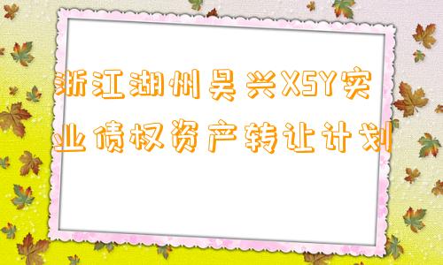 浙江湖州吴兴XSY实业债权资产转让计划