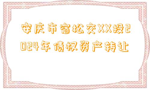 安庆市宿松交XX投2024年债权资产转让