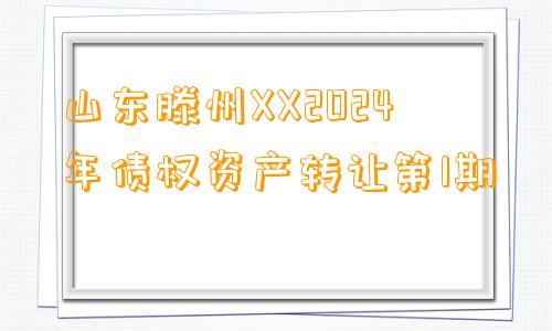 山东滕州XX2024年债权资产转让第1期