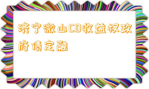 济宁微山CD收益权政府债定融