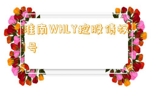 淮南WHLY控股债权1号