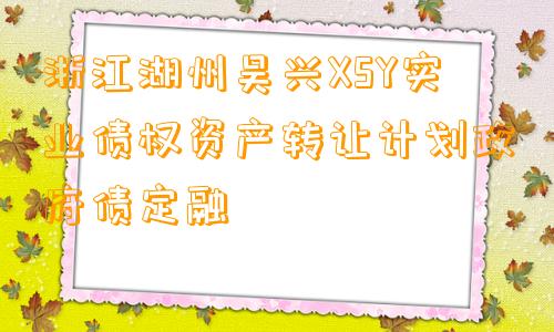 浙江湖州吴兴XSY实业债权资产转让计划政府债定融