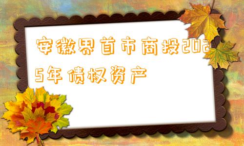 安徽界首市商投2025年债权资产