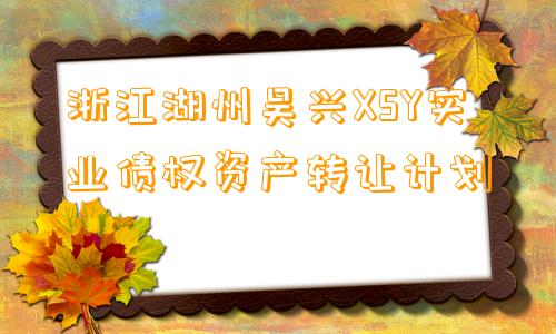 浙江湖州吴兴XSY实业债权资产转让计划