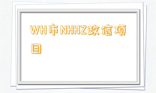 WH市NHHZ政信项目