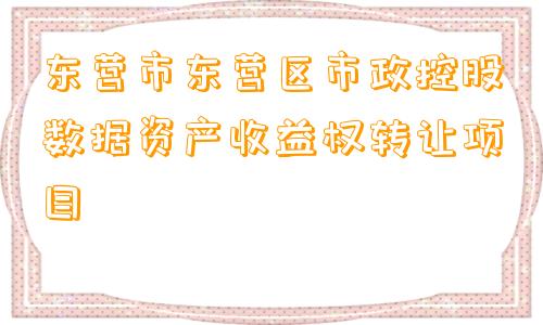 东营市东营区市政控股数据资产收益权转让项目