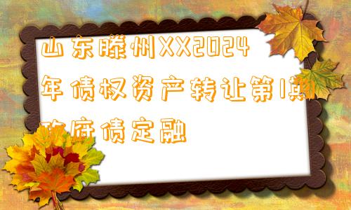 山东滕州XX2024年债权资产转让第1期政府债定融