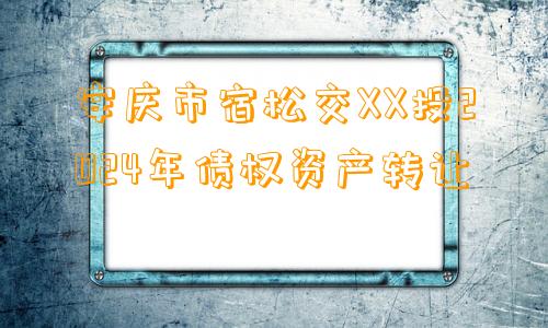 安庆市宿松交XX投2024年债权资产转让