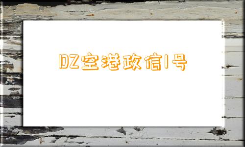 DZ空港政信1号