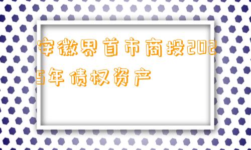 安徽界首市商投2025年债权资产