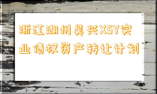 浙江湖州吴兴XSY实业债权资产转让计划