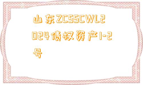 山东ZCSSCWL2024债权资产1-2号