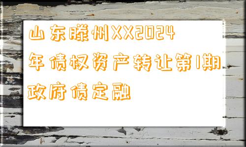 山东滕州XX2024年债权资产转让第1期政府债定融