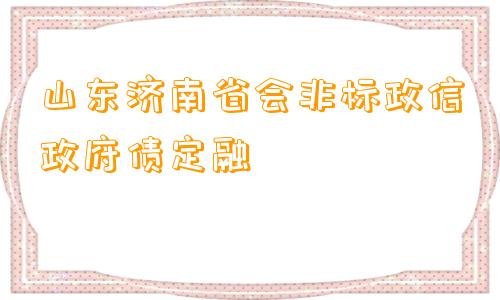 山东济南省会非标政信政府债定融