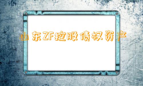 山东ZF控股债权资产