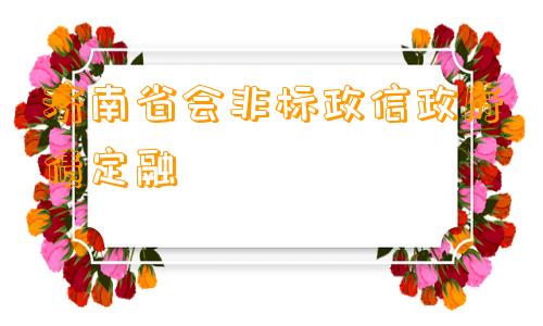 济南省会非标政信政府债定融